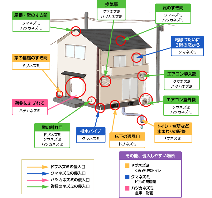 ネズミの侵入口